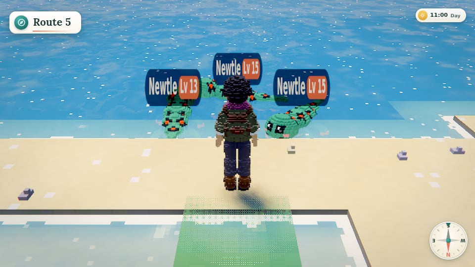 Wild Newtles swimming near the shore